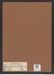 Craspedoporus ralfsianus Grev. (de-Toni-Nr.: Genus 180, Species 4481) Zeichnungen Sammlung Grunow Mappe 04403 (Herbarium_W_Grunow_drawings_Folder_04403)